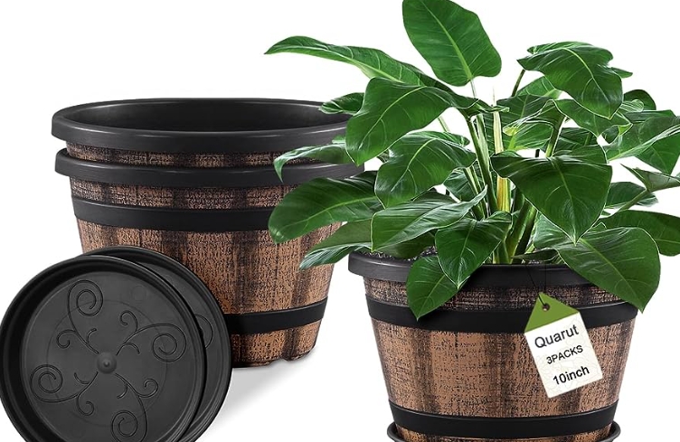 10 inch plant pot