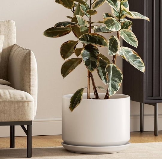 12 inch plant pot