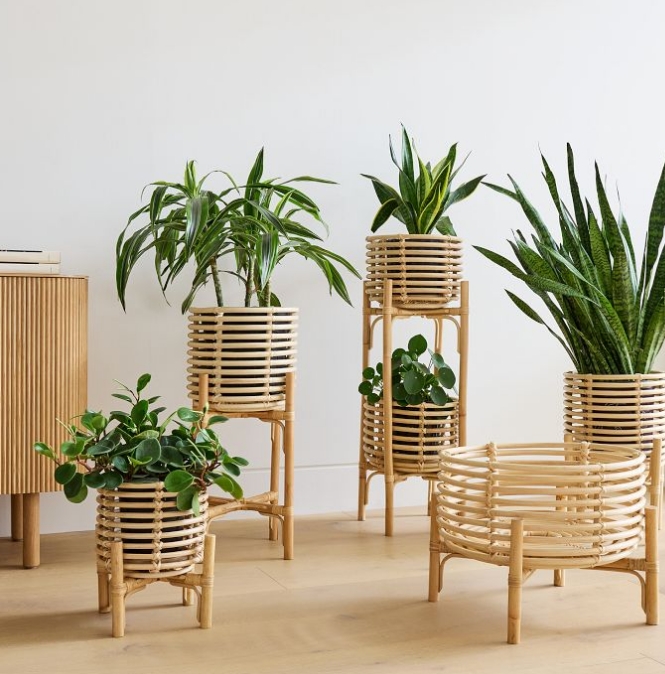 basket plant pot