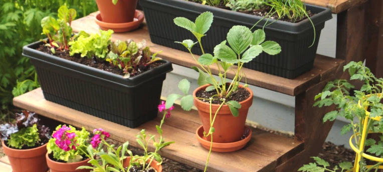 plant stand