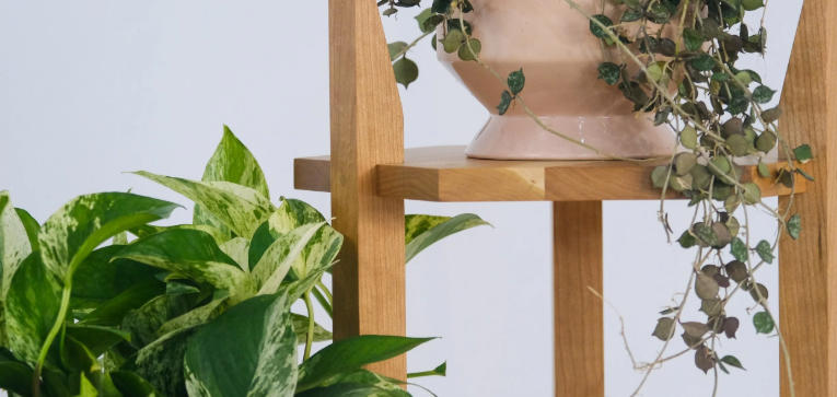 tall plant stand