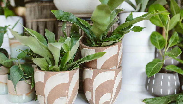 indoor plant pots