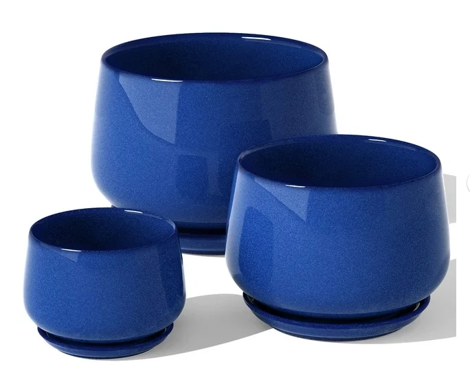 blue plant pot