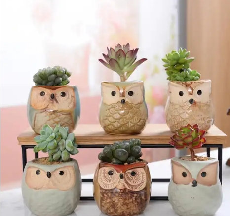 wilko plant pots