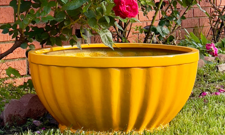 large plant pots