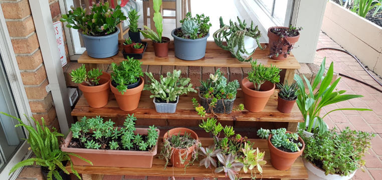 outdoor plant stand