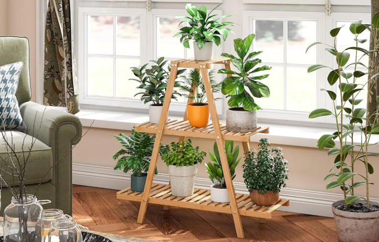plant stand indoor