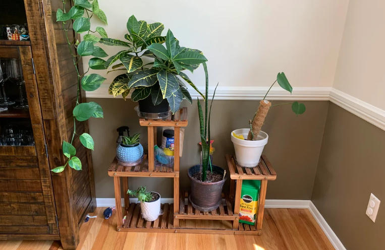 corner plant stand