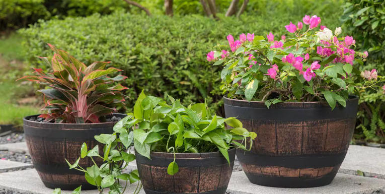 flower pot