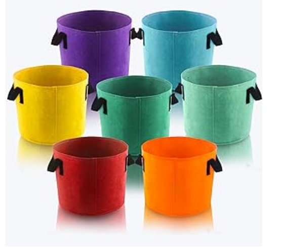 10 gallon plant pot
