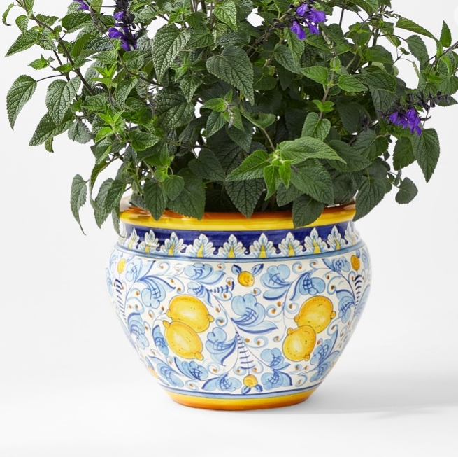 yellow plant pot