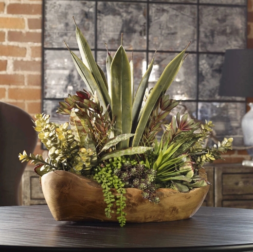 orchid planters