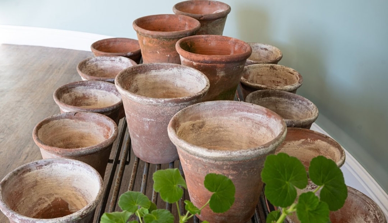 10 inch terracotta pot