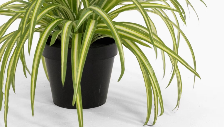 artificial potted plants indoor