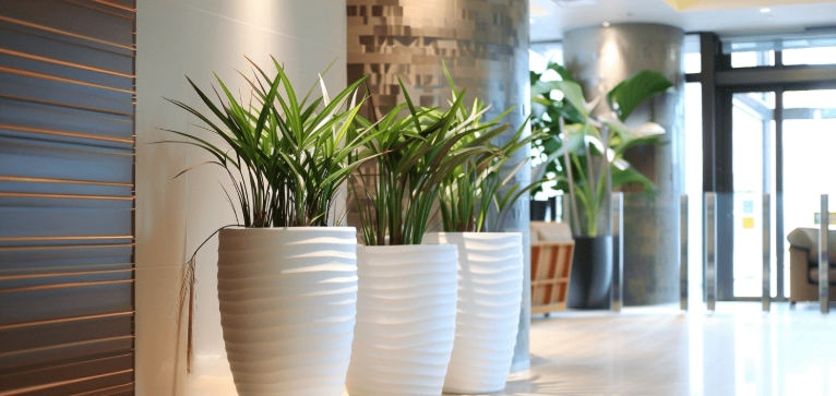large ceramic pots for indoor plants