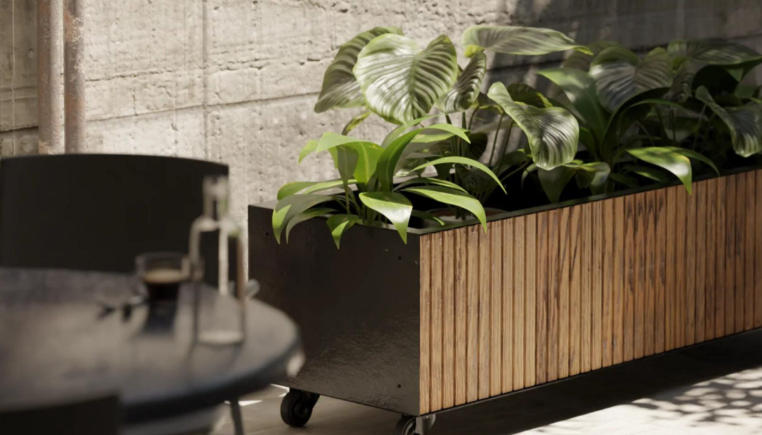large indoor plant pots