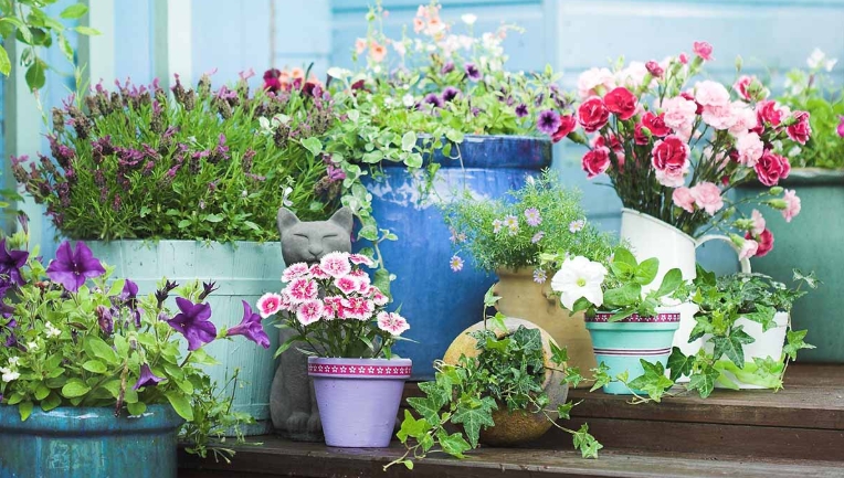 fence plant pots