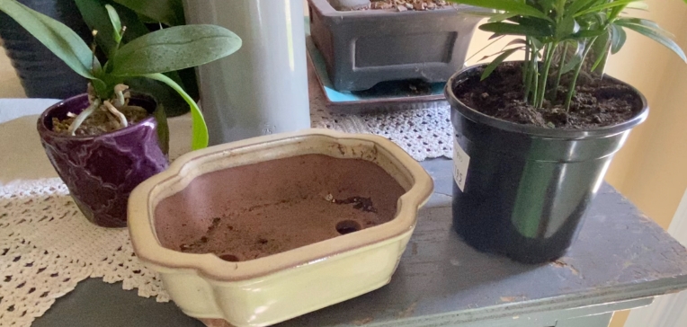 plant pots with drainage holes