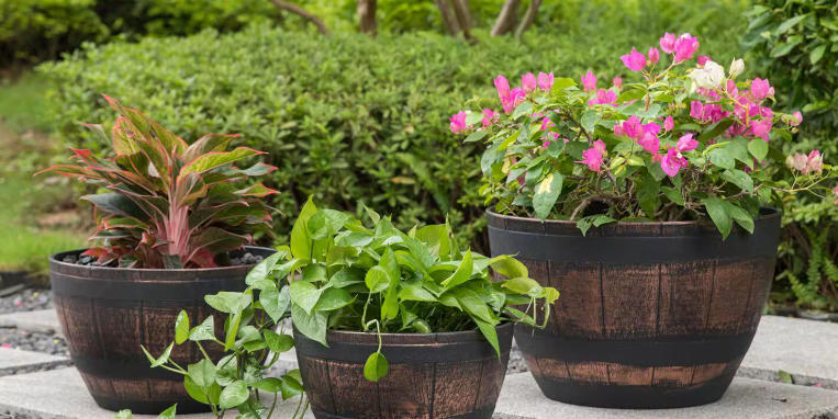 discount plant pots