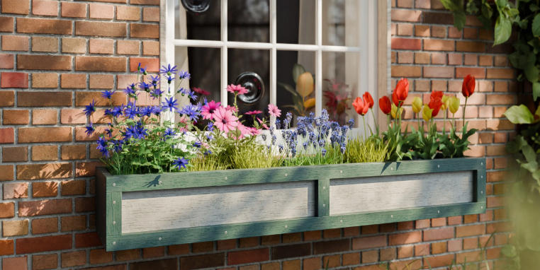 window flower boxes