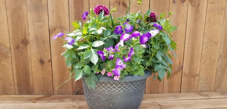 16 inch plant pot