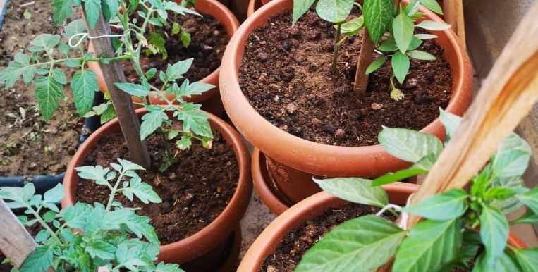 extra large round plastic planters for outside