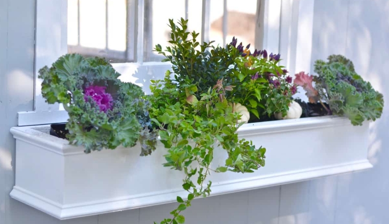 window sill flower box