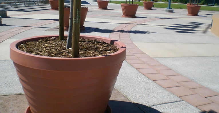 big plastic pots for plants