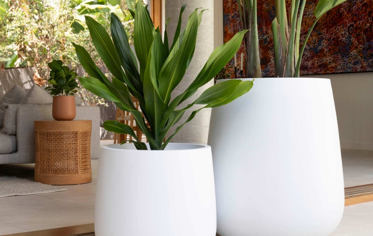 extra large plant pots indoor