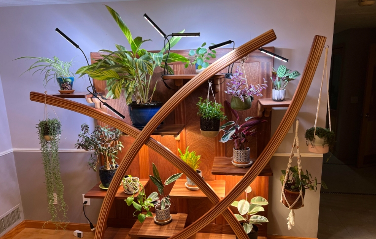 curved plant stand