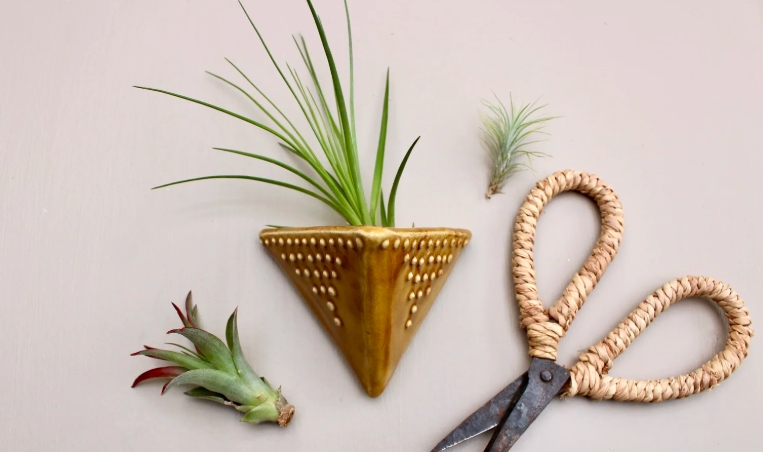wall plant stand