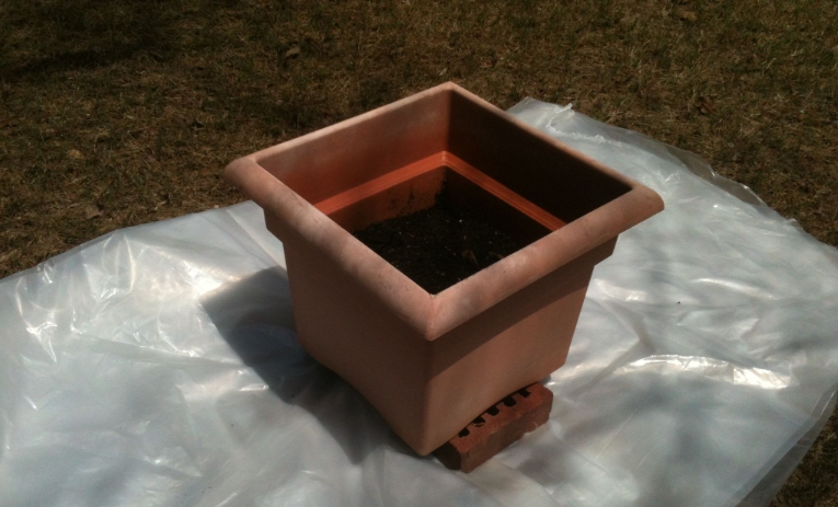 small plastic plant pots