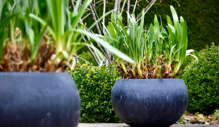 black garden pots
