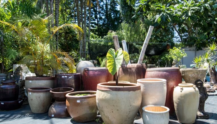 ceramic planters with drainage
