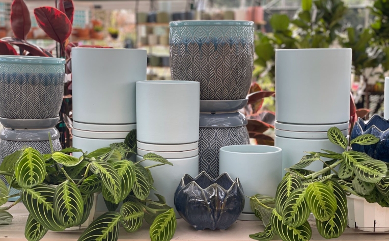 plastic plant pots with drainage holes