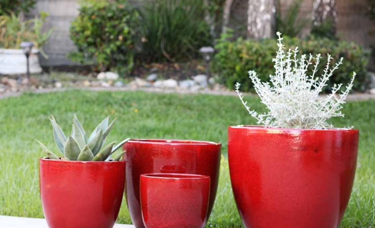 red flower pots