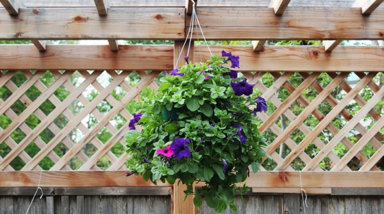 outdoor hanging basket