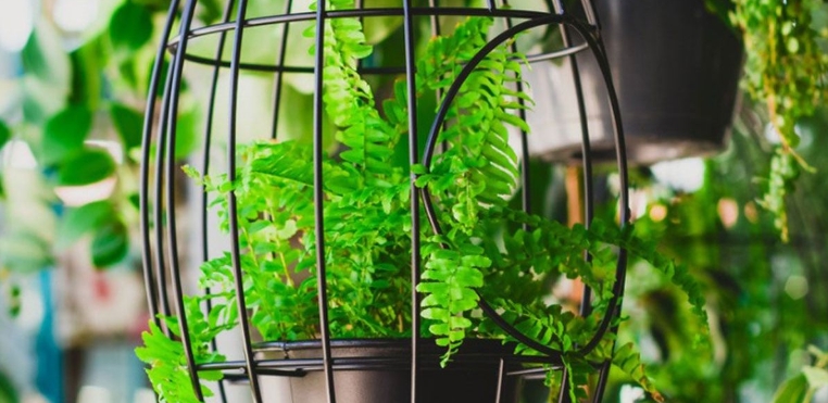 hanging basket holder