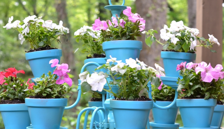 colorful flower pots