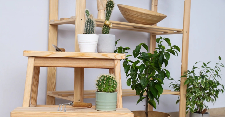3 tier plant stand indoor