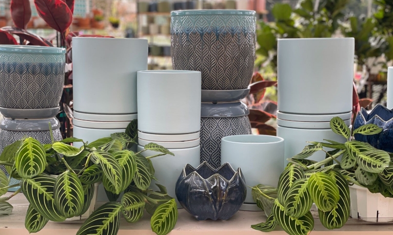 4 inch plastic pots