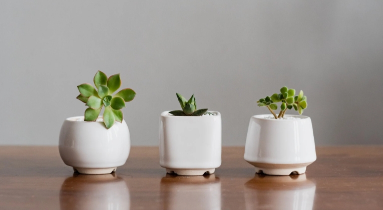 tiny plant pots