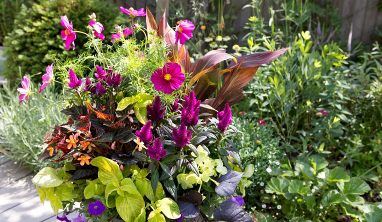 planting tubs