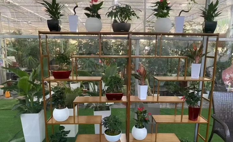 giant plastic plant pots for trees