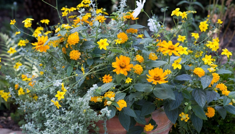 10 inch pots for plants with drainage