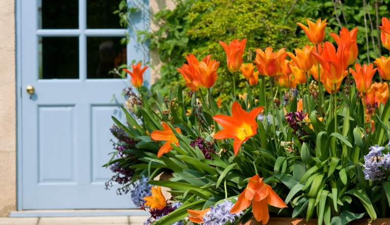 front door flower pots