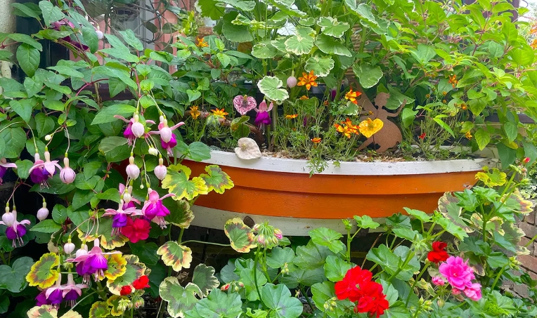 quirky plant pots
