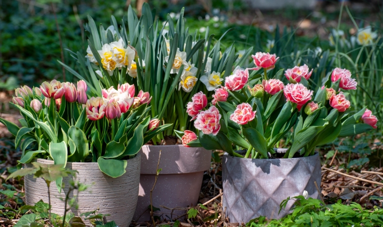 deep plant pots