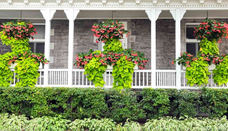 front porch flower pots