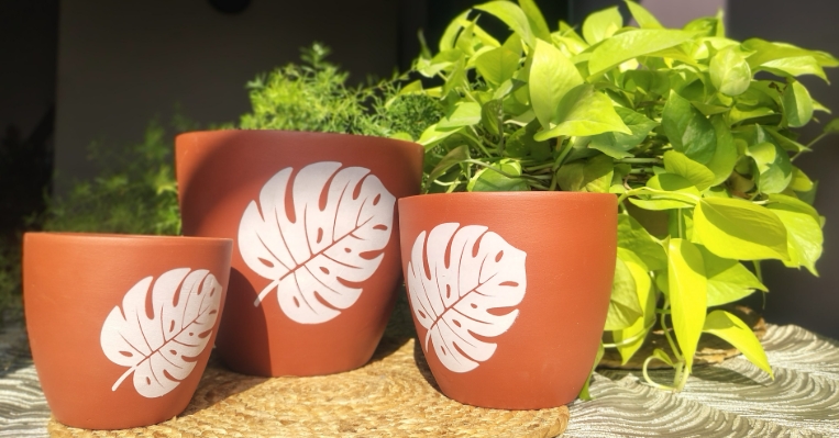 ceramic pots online